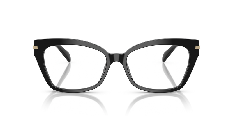 Michael Kors MONTEGO BAY in Black / Demo Lens (3005) - Alternate View