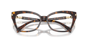 Dark Tortoise / Demo Lens (3006)