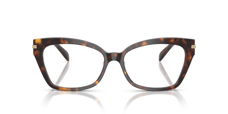 Michael Kors MONTEGO BAY in Dark Tortoise / Demo Lens (3006) - Alternate View