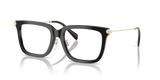 Black / Demo Lens (3005)