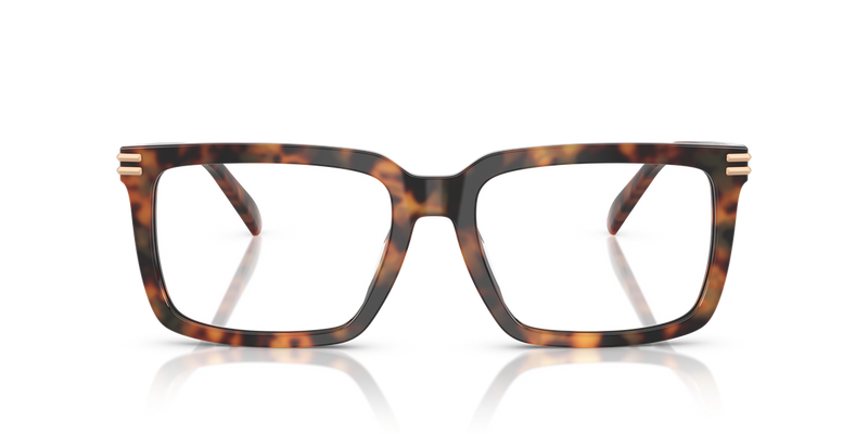 Michael Kors BAYSHORE in Vintage Tortoise / Demo Lens (3904) - Alternate View