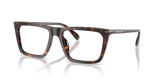 Dark Tortoise / Demo Lens (3006)
