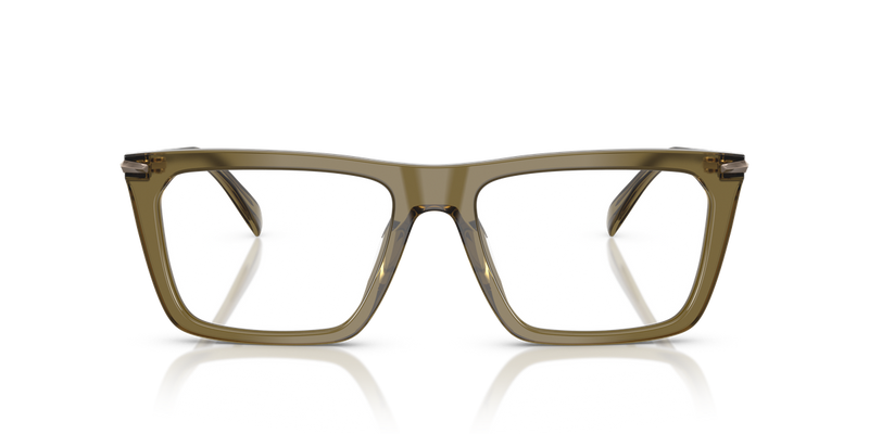 Michael Kors ECHO PARK in Olive Transparent / Demo Lens (4012) - Alternate View