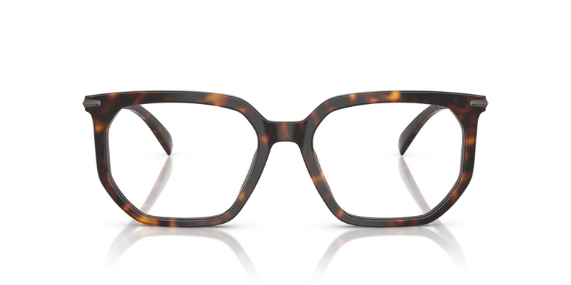 Michael Kors SEQUOIA in Dark Tortoise / Demo Lens (3006) - Alternate View