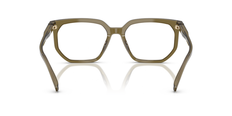 Michael Kors SEQUOIA in Olive Transparent / Demo Lens (4012) - Alternate View