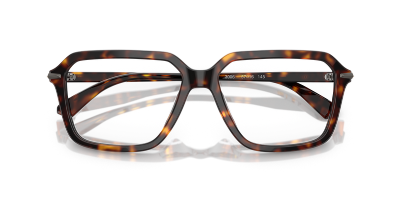 Michael Kors SAGUARO in Dark Tortoise / Demo Lens (3006) - Alternate View