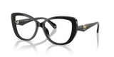 Black / Demo Lens (3005)