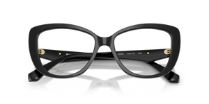 Black / Demo Lens (3005)
