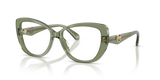 Green Transparent / Demo Lens (3961)