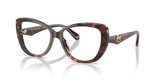Luggage Tortoise / Demo Lens (4031)