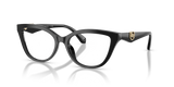 Black / Demo Lens (3005)