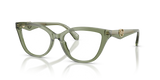 Green Transparent / Demo Lens (3961)