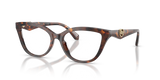 Luggage Tortoise / Demo Lens (4031)