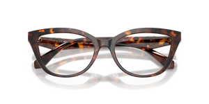 Luggage Tortoise / Demo Lens (4031)