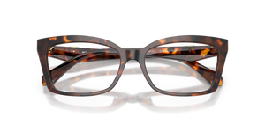 Luggage Tortoise / Demo Lens (4031)