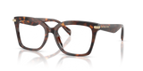 Luggage Tortoise / Demo Lens (4031)