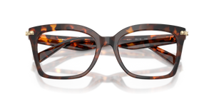 Luggage Tortoise / Demo Lens (4031)