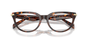 Luggage Tortoise / Demo Lens (4031)