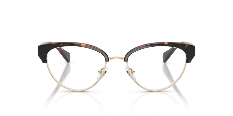Michael Kors CURACAO in Dark Tortoise / Demo Lens (3006) - Alternate View