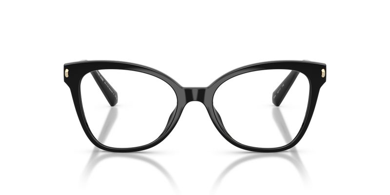 Michael Kors BEAUNE in Black / Demo Lens (3005) - Alternate View