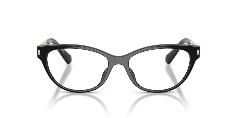 Michael Kors DOURO VALLEY in Black / Demo Lens (3005) - Alternate View