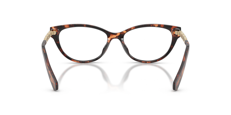 Michael Kors DOURO VALLEY in Dark Tortoise / Demo Lens (3006) - Alternate View