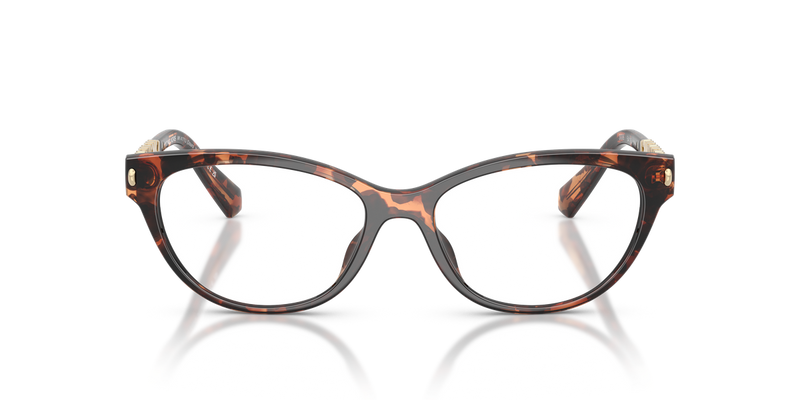 Michael Kors DOURO VALLEY in Dark Tortoise / Demo Lens (3006) - Alternate View