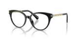 Black / Demo Lens (3005)