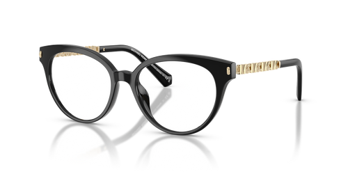 Black / Demo Lens (3005)