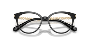 Black / Demo Lens (3005)