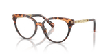Dark Tortoise / Demo Lens (3006)