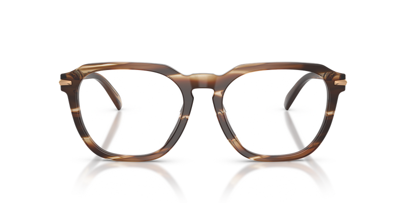 Michael Kors WOLF CREEK in Brown Horn / Demo Lens (4039) - Alternate View