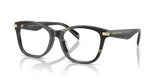 Black Horn / Demo Lens (4034)
