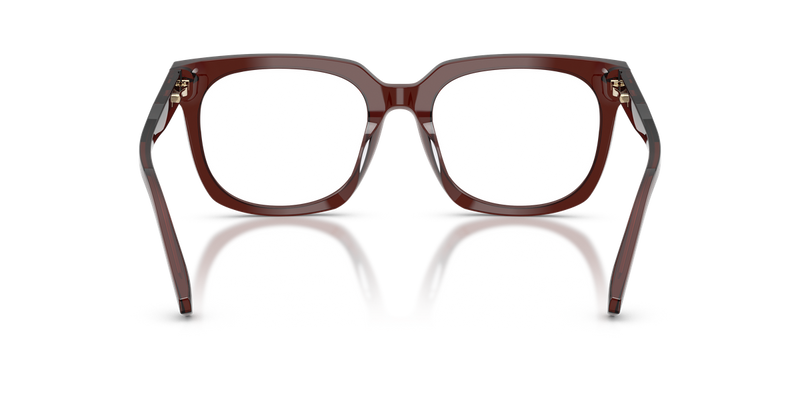 Michael Kors ONTARIO in Brown Transparent / Demo Lens (3401) - Alternate View
