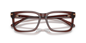 Brown Transparent / Demo Lens (3401)