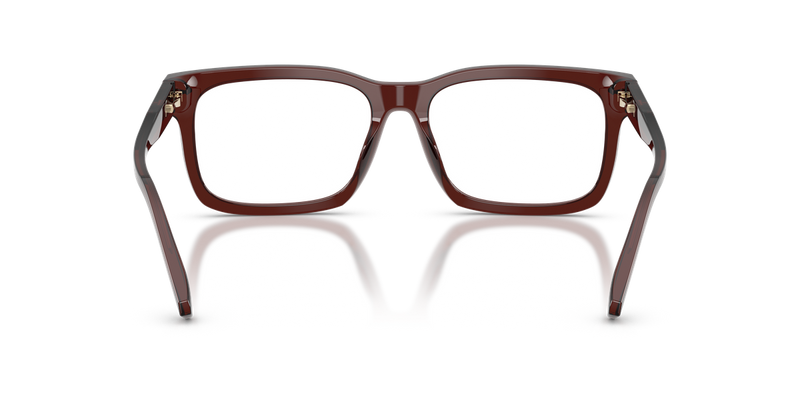 Michael Kors OTTAWA in Brown Transparent / Demo Lens (3401) - Alternate View
