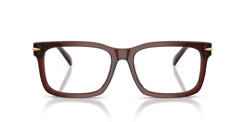 Michael Kors OTTAWA in Brown Transparent / Demo Lens (3401) - Alternate View