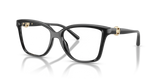Black / Demo Lens (3005)