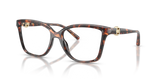 Luggage Tortoise / Demo Lens (4031)