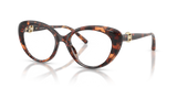 Luggage Tortoise / Demo Lens (4031)