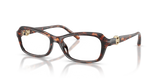 Luggage Tortoise / Demo Lens (4031)