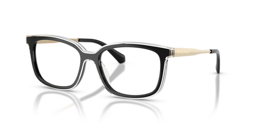 Black / Demo Lens (3005)