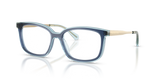 Navy / Demo Lens (4031)