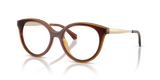 Dark Brown / Demo Lens (3113)