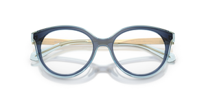 Navy / Demo Lens (4031)