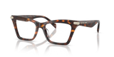 Luggage Tortoise / Demo Lens (4031)