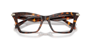 Luggage Tortoise / Demo Lens (4031)