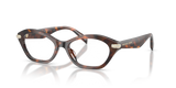 Luggage Tortoise / Demo Lens (4031)