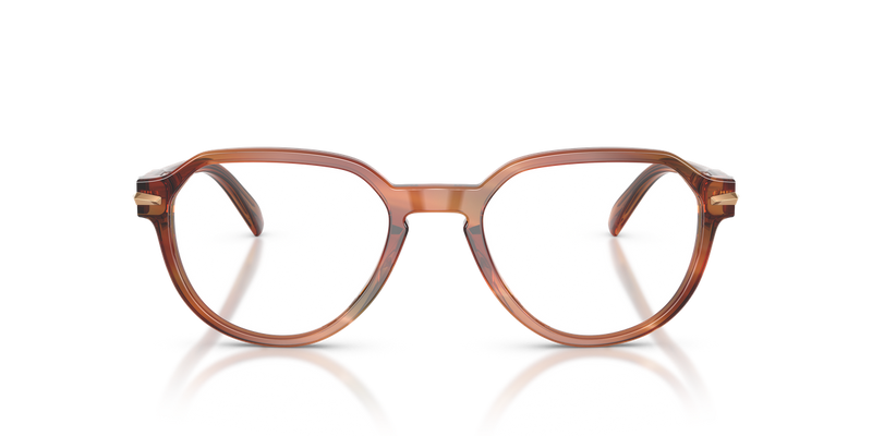 Michael Kors WESTERLY in Brown Horn / Demo Lens (4039) - Alternate View