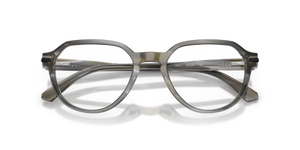Charcoal Horn / Demo Lens (4047)